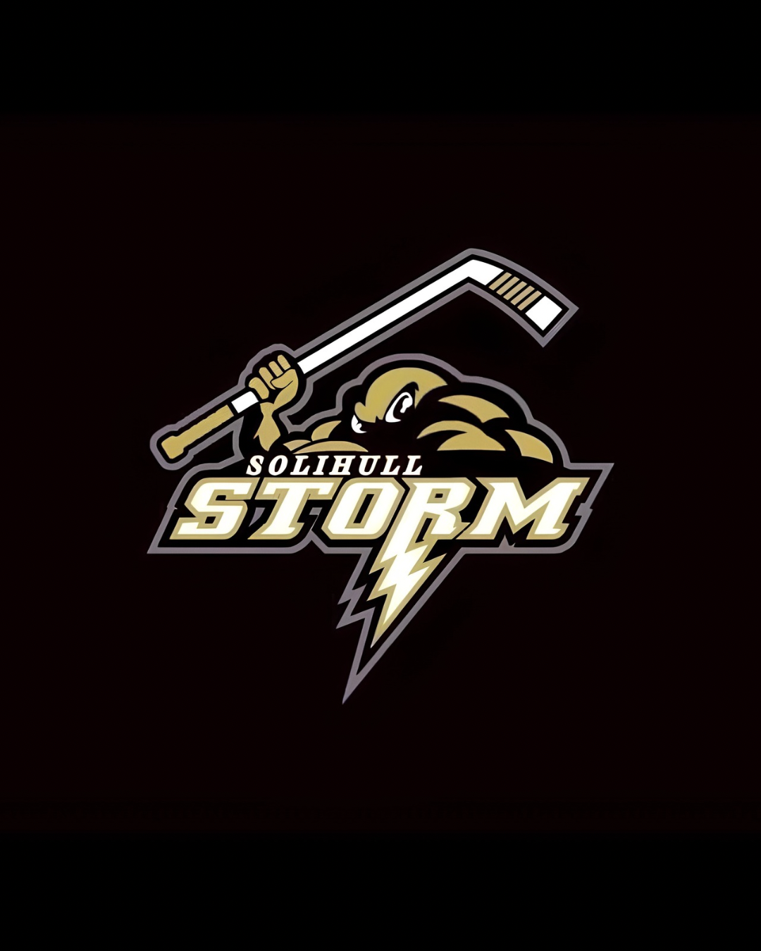 Solihull Storm logo